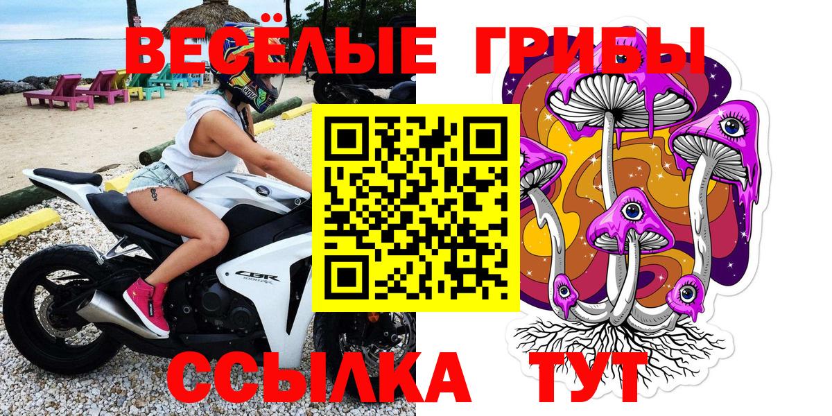 Галлюциногенные грибы Magic Shrooms  Вход с VPN  Псилоцибиновые грибы GOLDEN TEACHER  Энгельс 